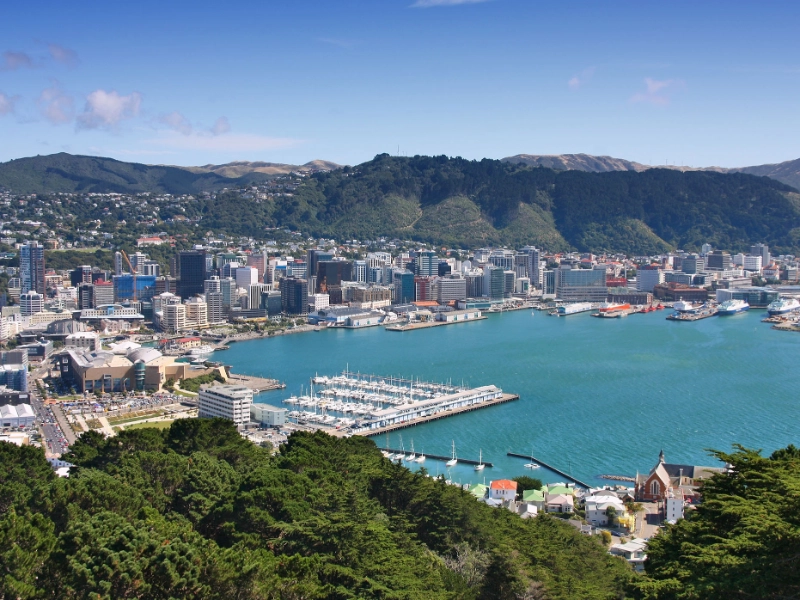 New Zealand Wonders