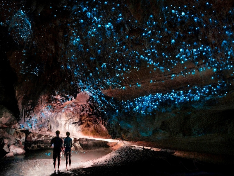 Waitomo Glow Worm Caves