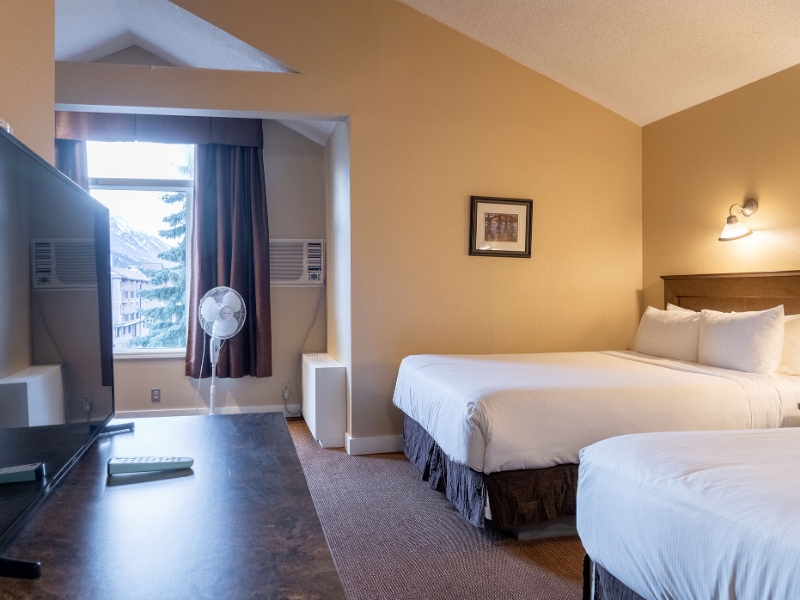 Superior Room 2 Queens Pullout