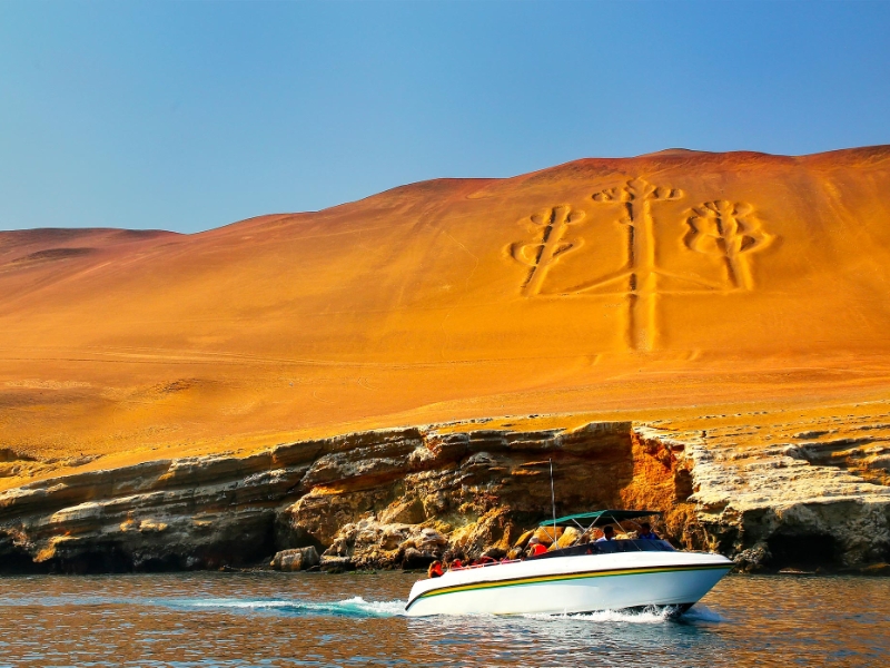 Candelabra of the Andes