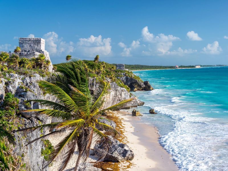 Palm Tree Beach