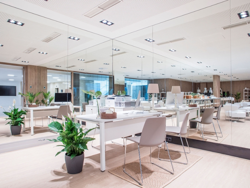 The Level Reception Details