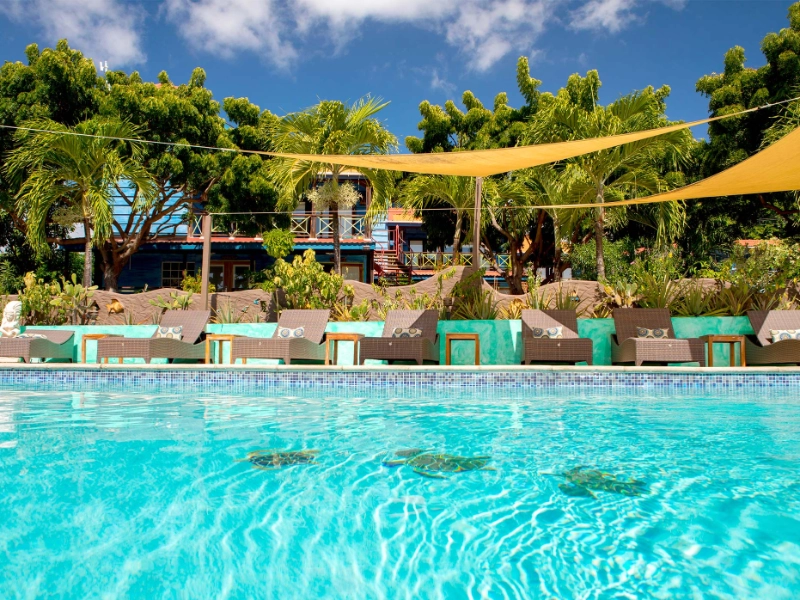 Bayview Pool