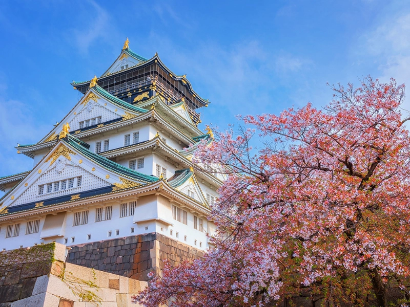 The Best of South Korea & Japan - French Guided
