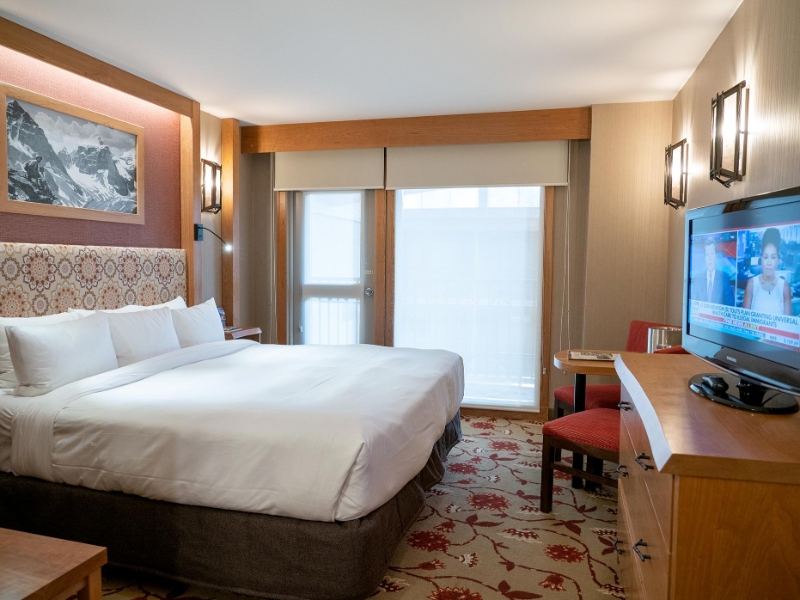 Standard Hotel Room 1 King