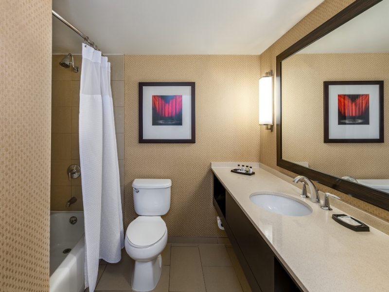 Guest Room Standard Bathroom