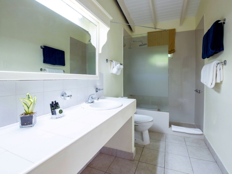 Bathroom Deluxe Garden