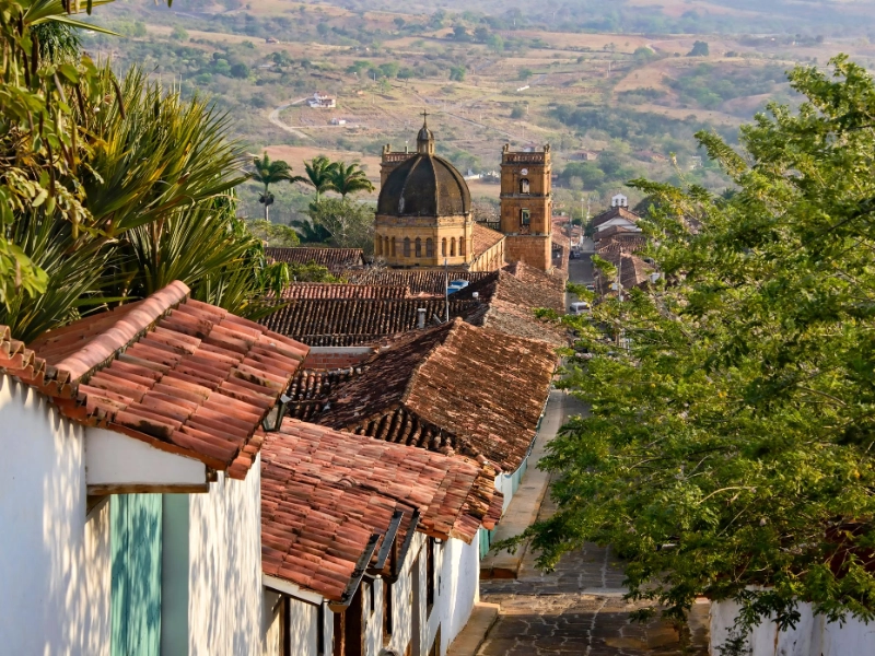 Andean Discovery