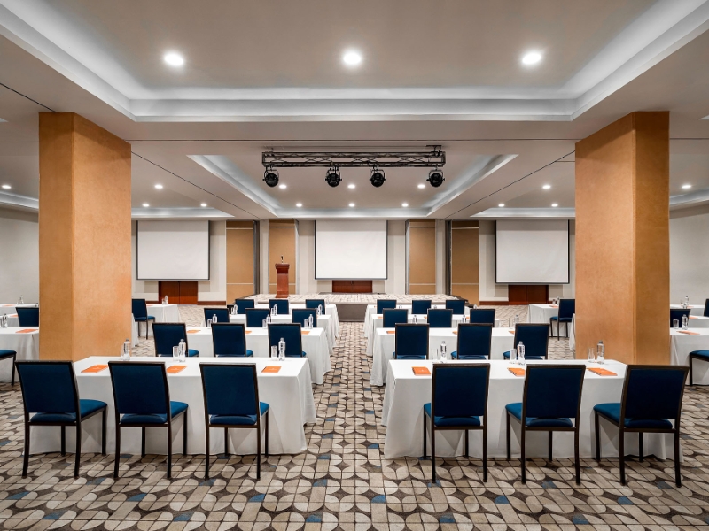 Meeting Room Dorados