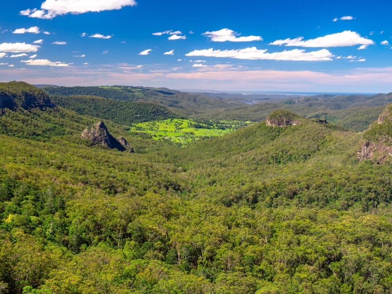 Lamington National Park