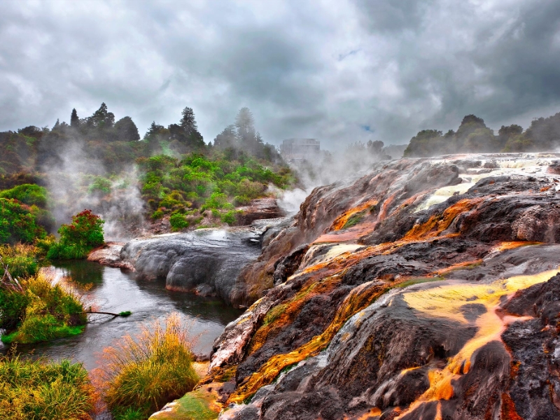 Te Puia Rotorua