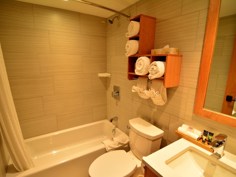 Superior Hotel Room Bathroom