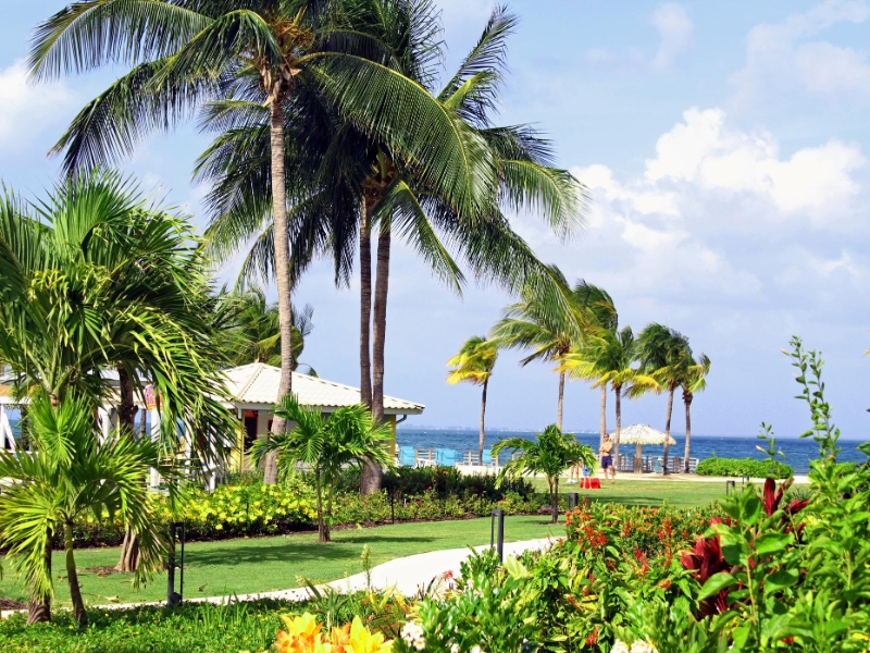 Courtyard and ocean