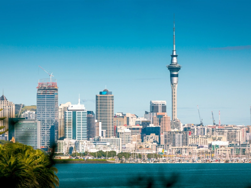 North & South New Zealand Campervan Road Trip
