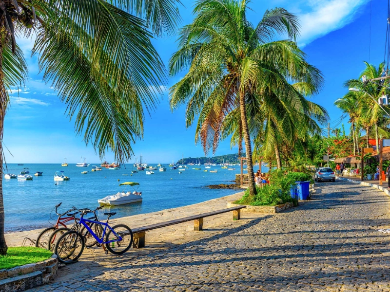 Tropical Brazil