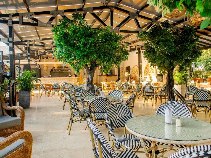 India Catalina Terrace