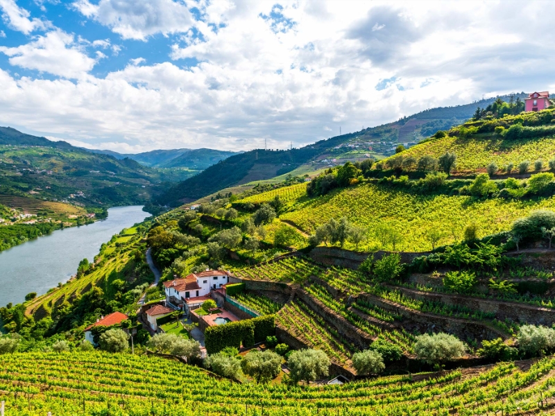 The Douro Valley