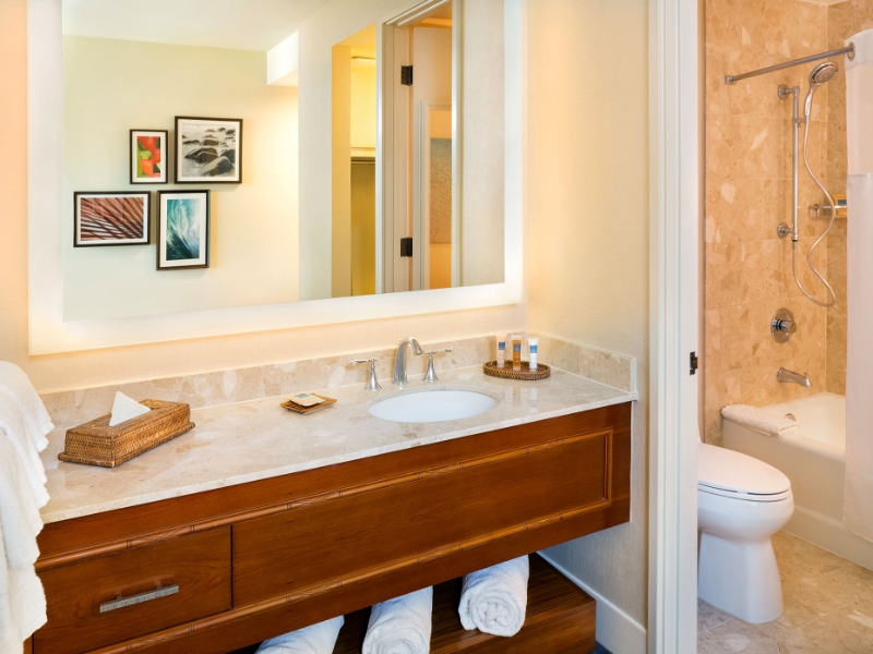 Palace Guest Bathroom