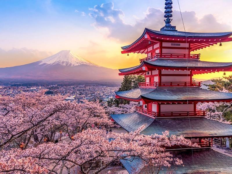 Essence of Japan - French Guided