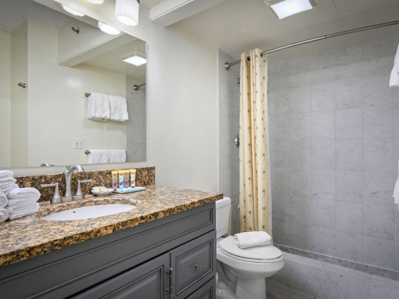 1 Bedroom Partial Ocean View Bathroom