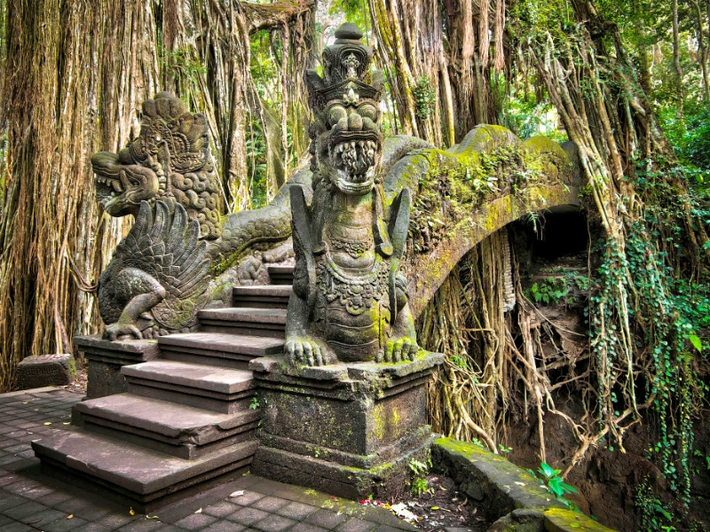 Monkey Forest Sanctuary