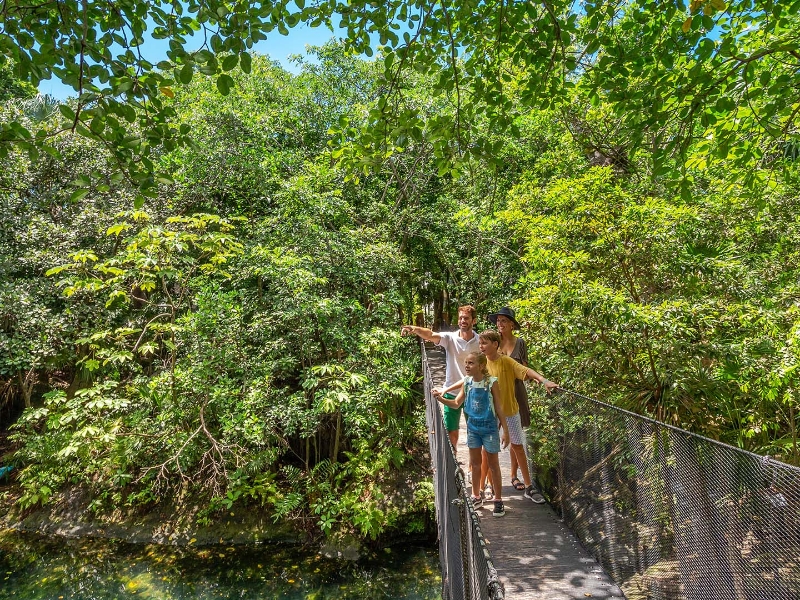 PuenteColgante Familias