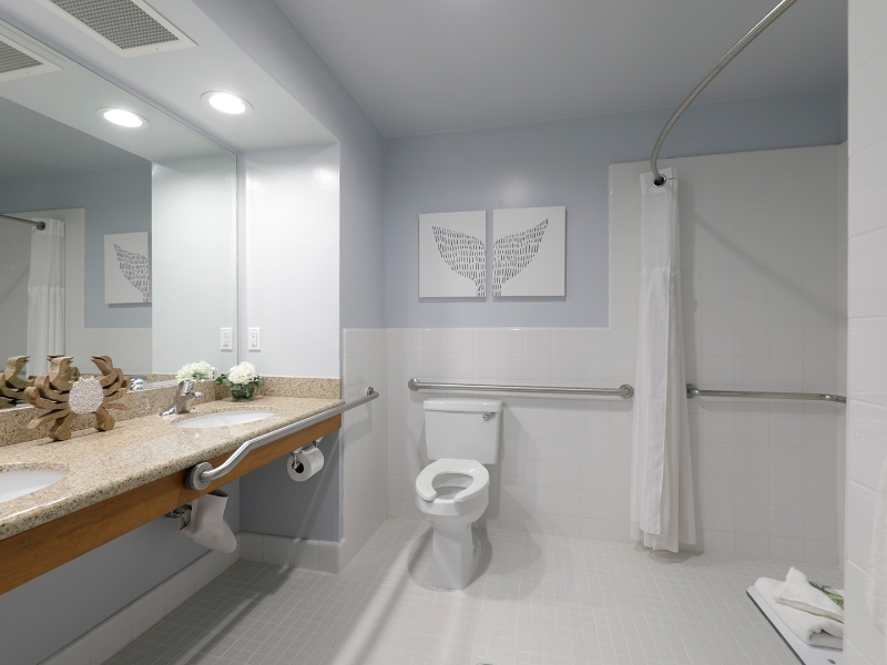 Oceanfront Suite King Lower Bathroom