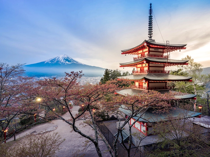 Cultural Gems of Japan- French Guided