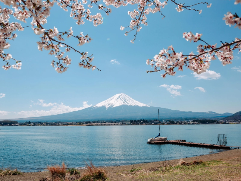 Japan, a Tale of Ancient Traditions - French Guided