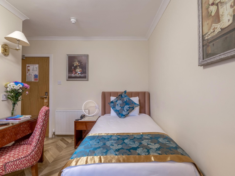 Superior Single Room