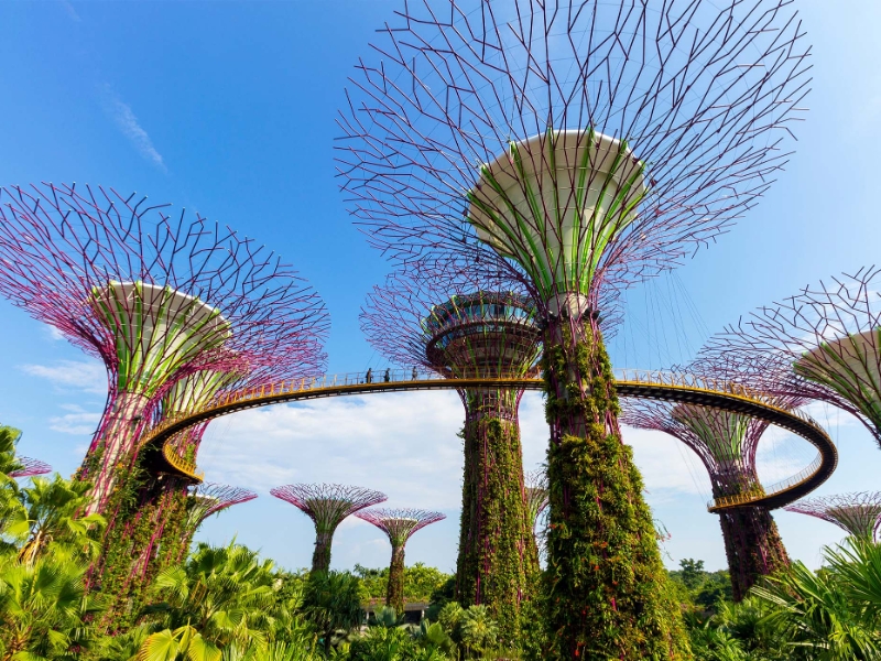 Garden By The Bay