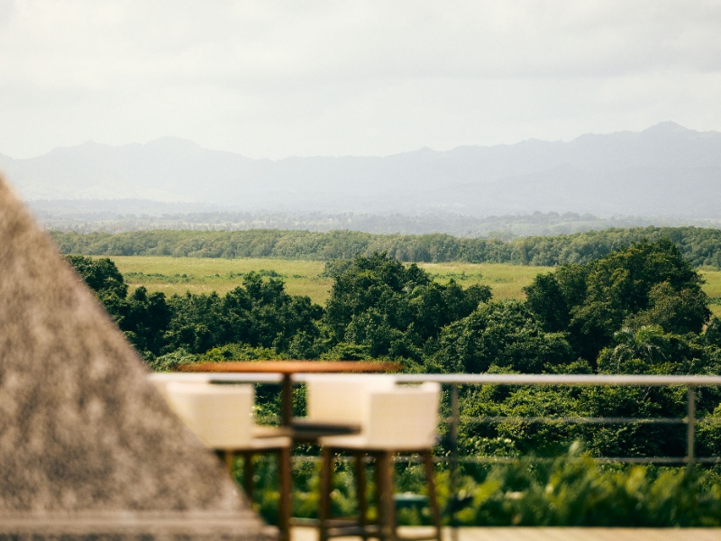 Forest and Mountains View