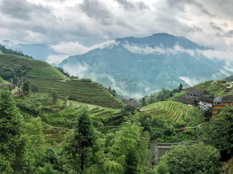 Longsheng Rice Terraces Guangxi