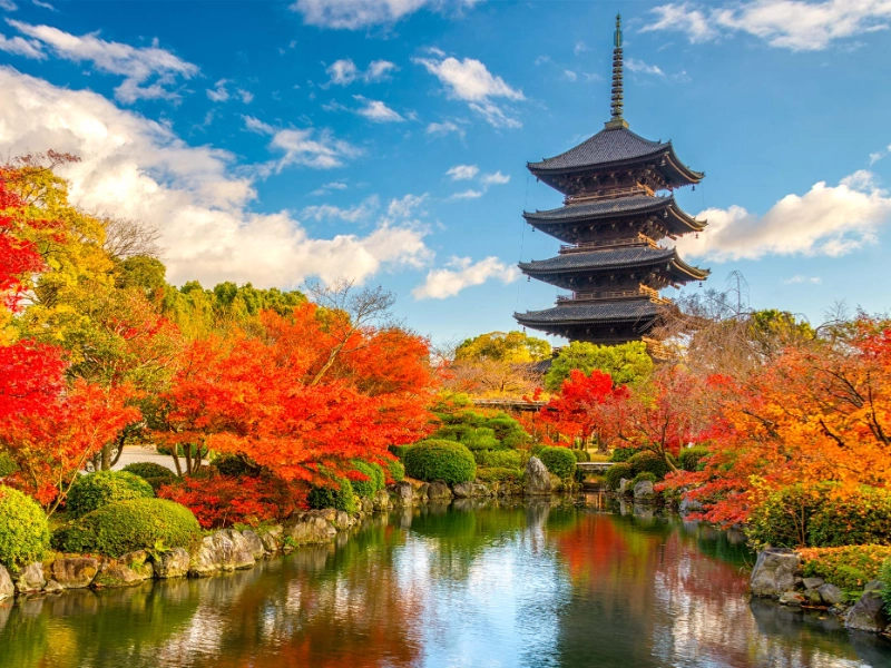 Grand Discovery of Japan
