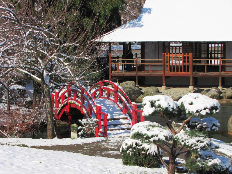 Japonese Gardin Toulouse