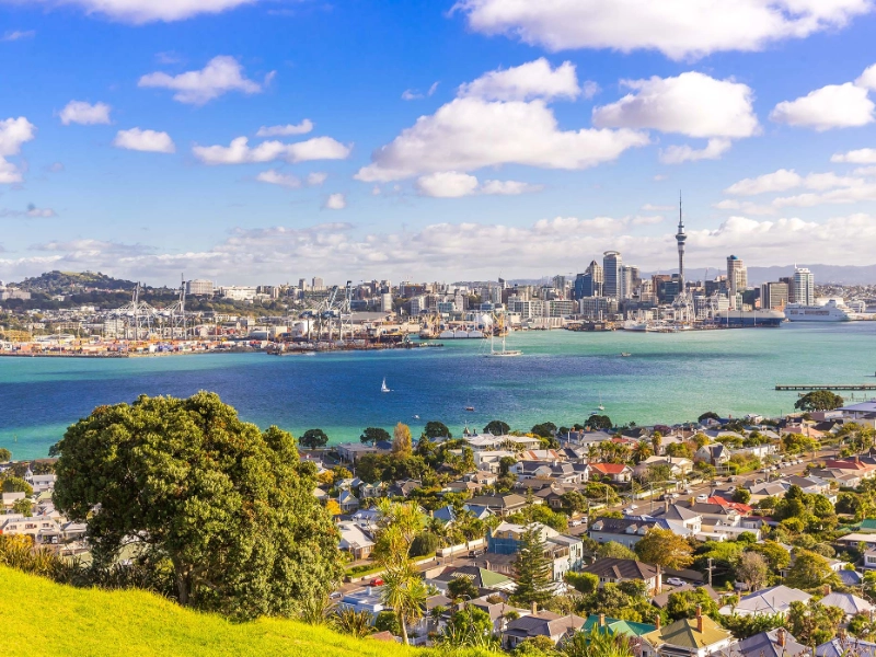 New Zealand Experience