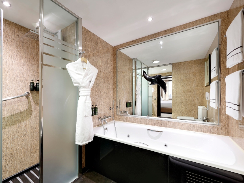 The Level Suite Bathroom