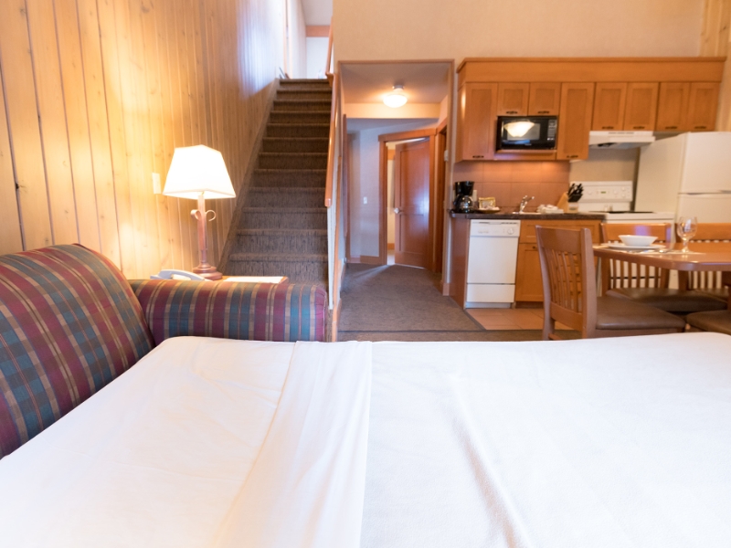 One Bedroom Loft Condo 3 Queens