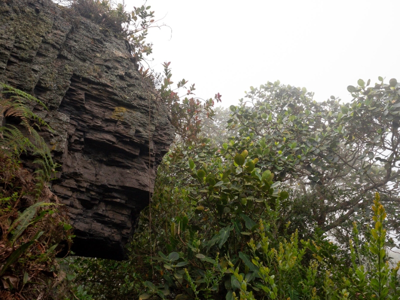Chicaque Natural Park