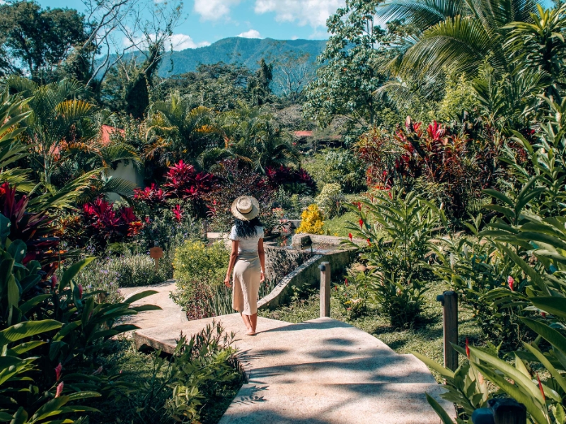 Pathway to River Rooms