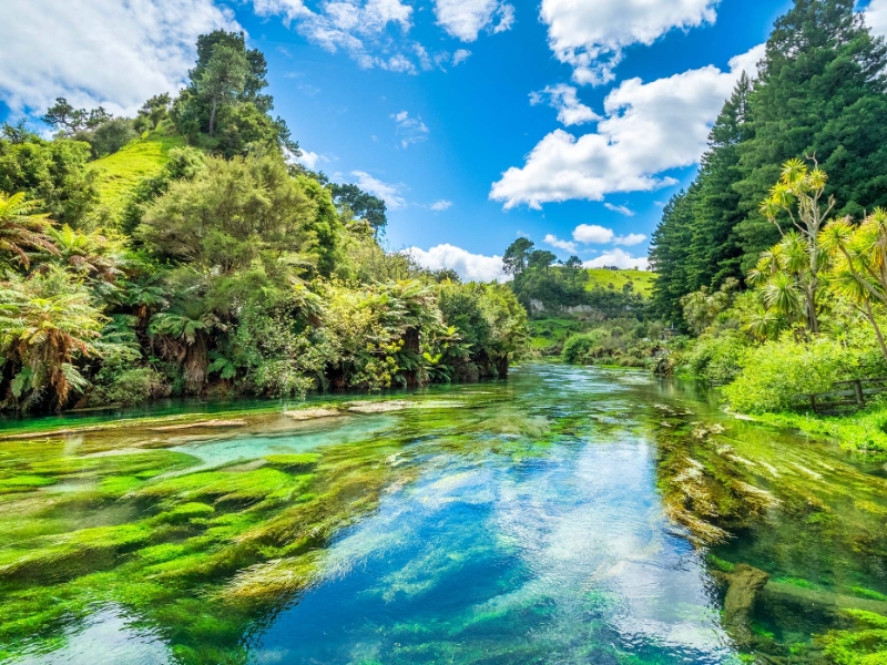 Waikato River
