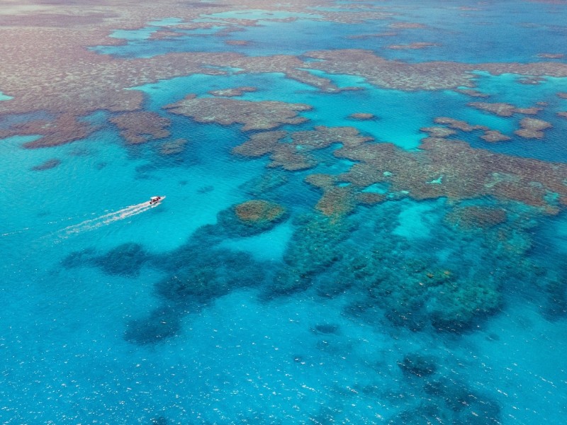 Outer Barrier Reef