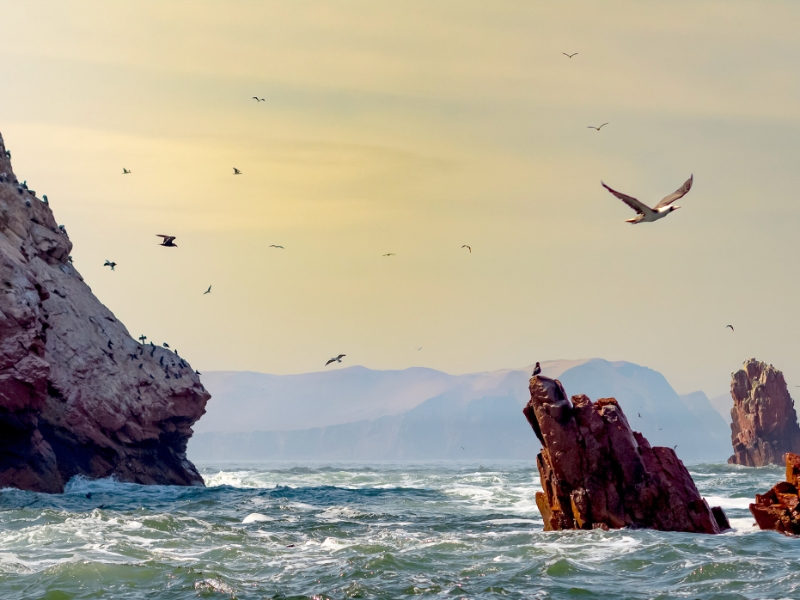 Ballestas Islands