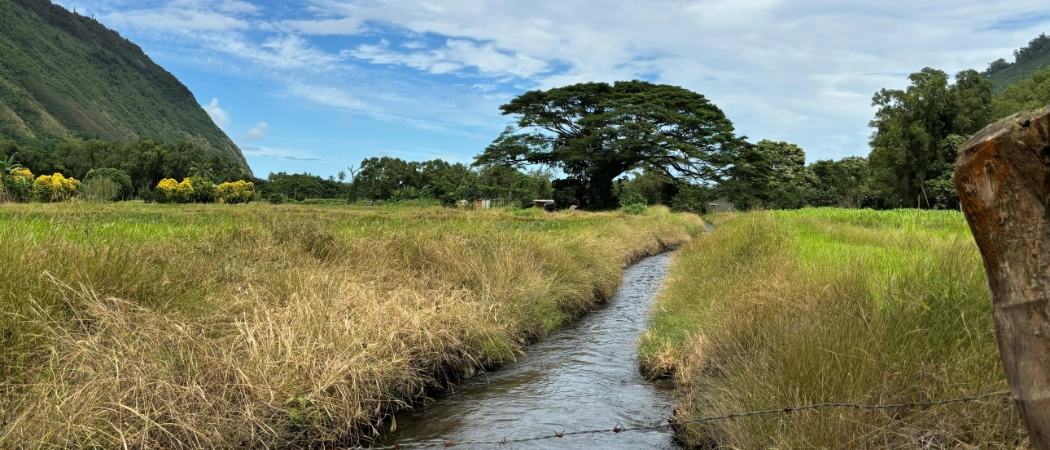 Waipio Valley