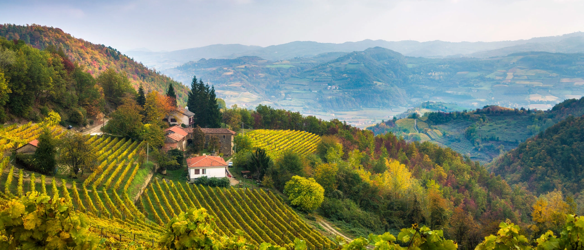Italy