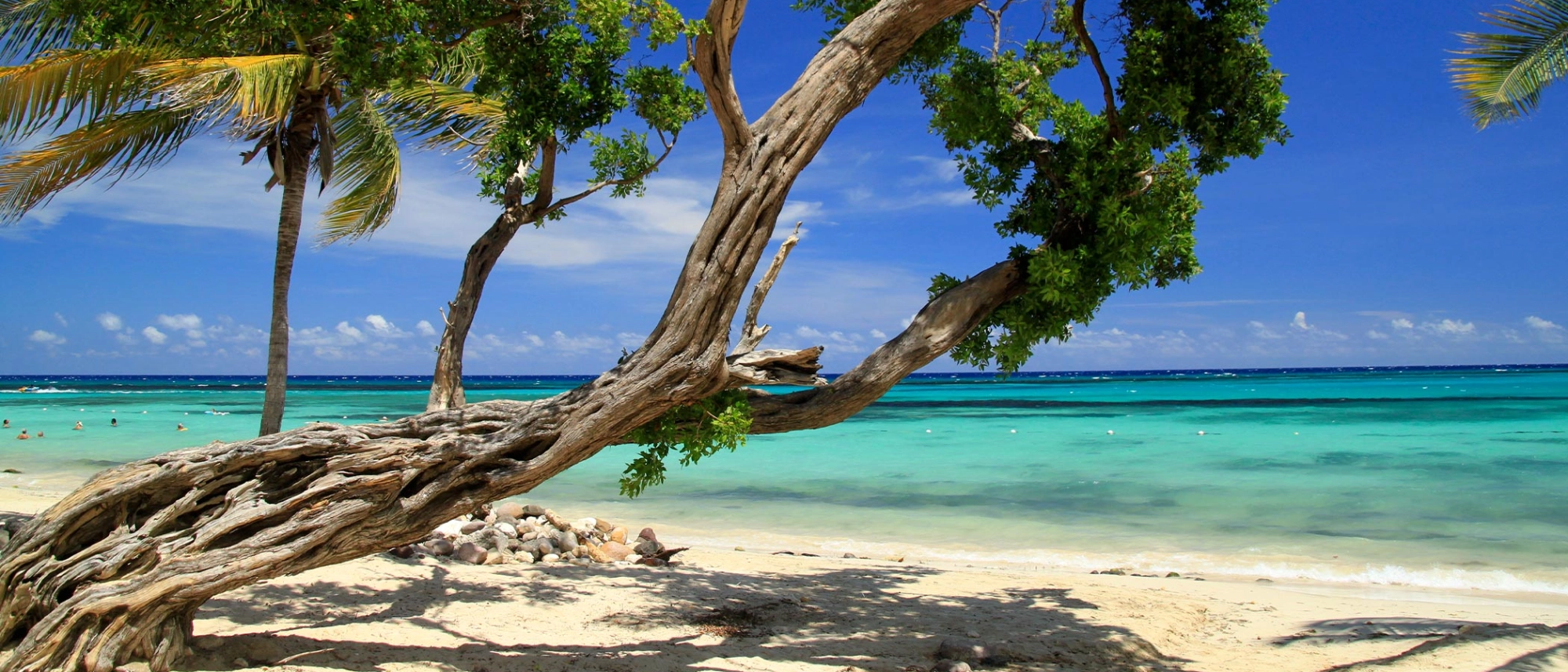 Jamaica