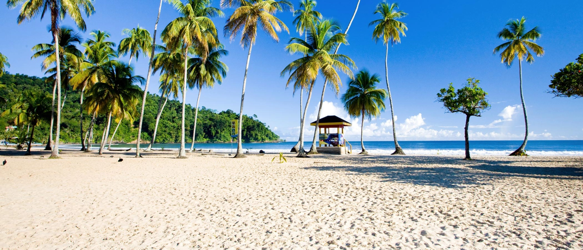 Trinidad and Tobago Maracas Bay