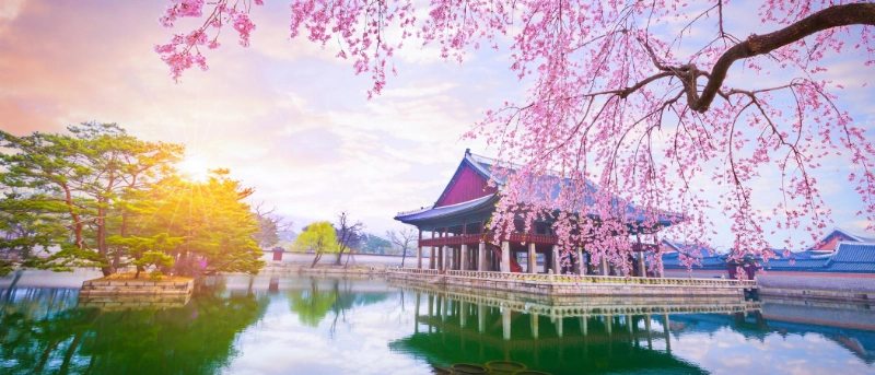 Gyeongbokgung Palace